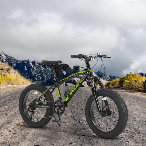 20 Inch Mountain Bike for Kids and Teenagers, High Carbon Steel Frame, Disc Brakes, Durable Wide Tires, Front Suspension, 7-Speed, Ideal for Snow and Off-Road Riding