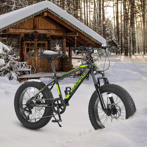 20 Inch Mountain Bike for Kids and Teenagers, High Carbon Steel Frame, Disc Brakes, Durable Wide Tires, Front Suspension, 7-Speed, Ideal for Snow and Off-Road Riding